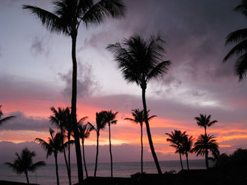 f0068883_14284087.jpg