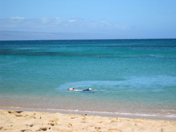 f0068883_1432481.jpg