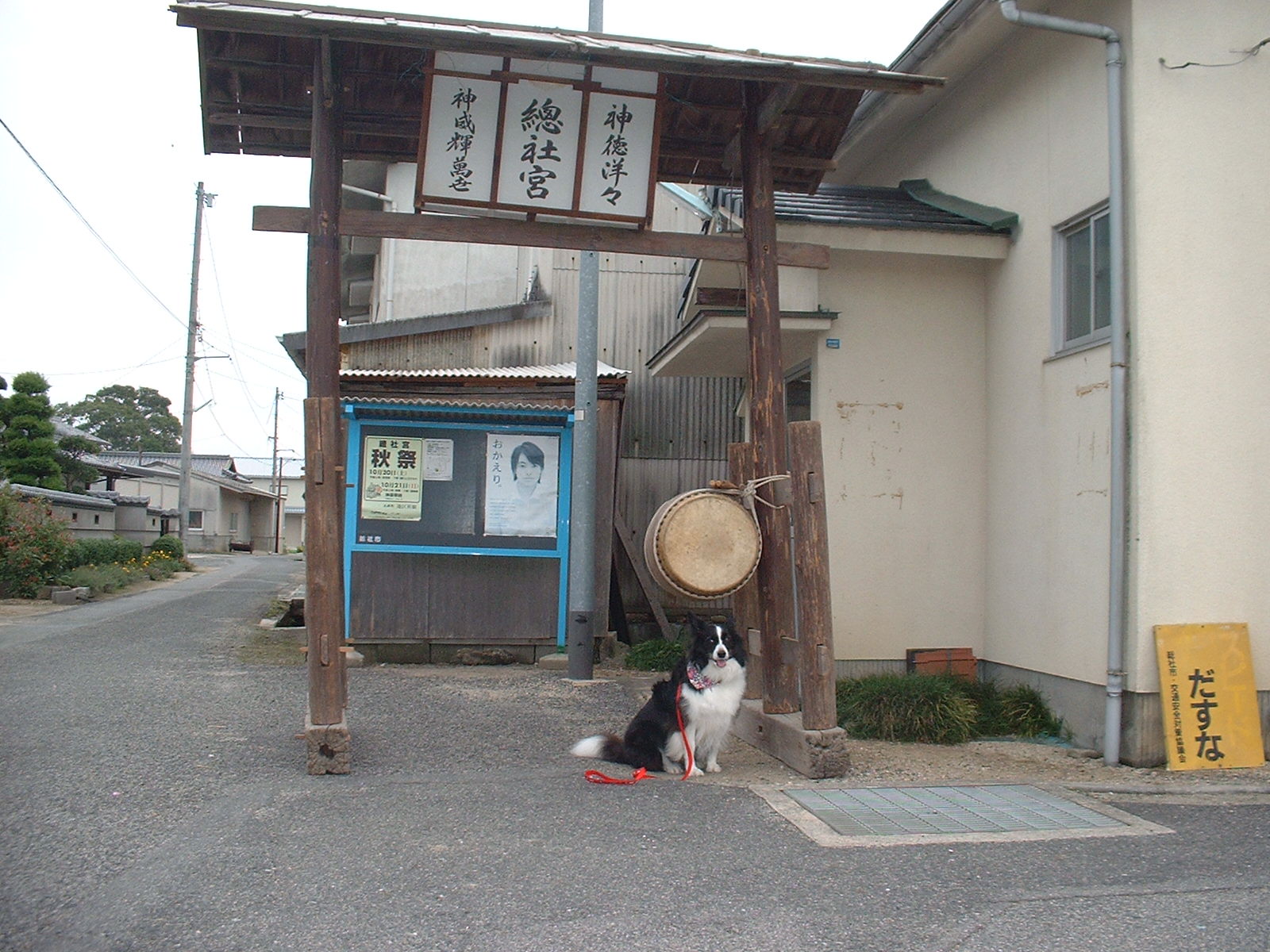 c0120585_2055359.jpg