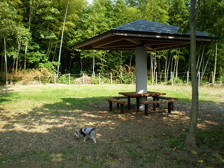 e0123587_18371687.jpg