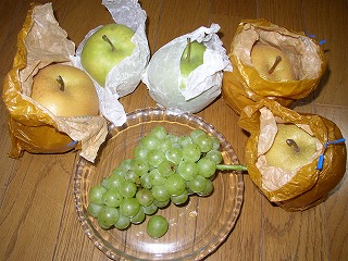 e0123587_2041377.jpg