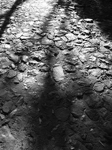 b0119493_0591926.jpg