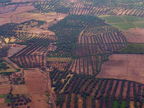 e0103195_15262916.jpg