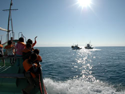 f0048405_945613.jpg