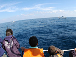 f0048405_951275.jpg