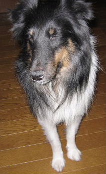 f0152315_0234343.jpg