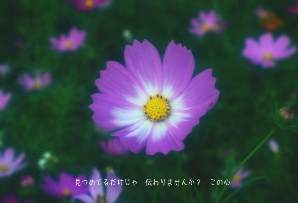 d0006718_8585641.jpg