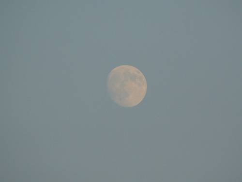 f0004019_22403927.jpg
