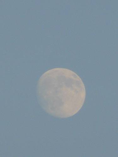 f0004019_22405951.jpg