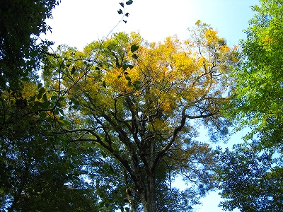 e0002820_19382164.jpg