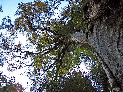 e0002820_194545100.jpg