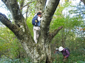 e0002820_20374968.jpg