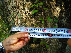 e0002820_204034.jpg