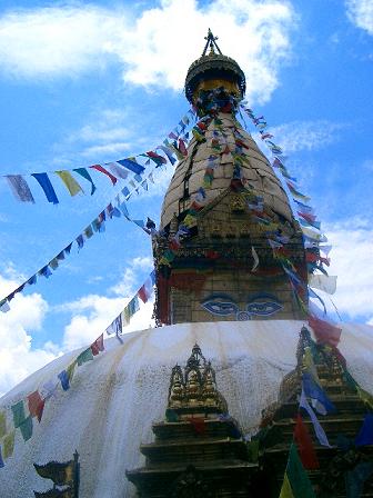 d0102422_1052345.jpg