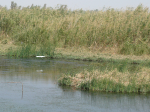 c0112823_058529.jpg
