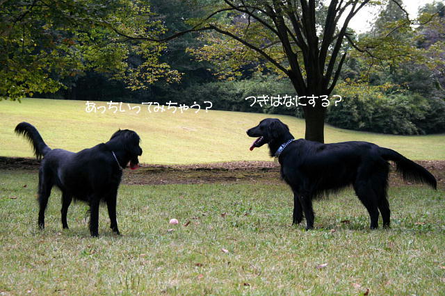 f0066824_14185783.jpg