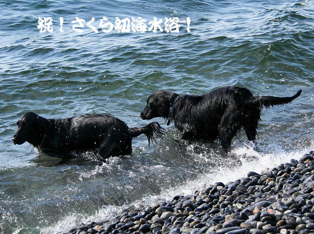 f0066824_1420418.jpg