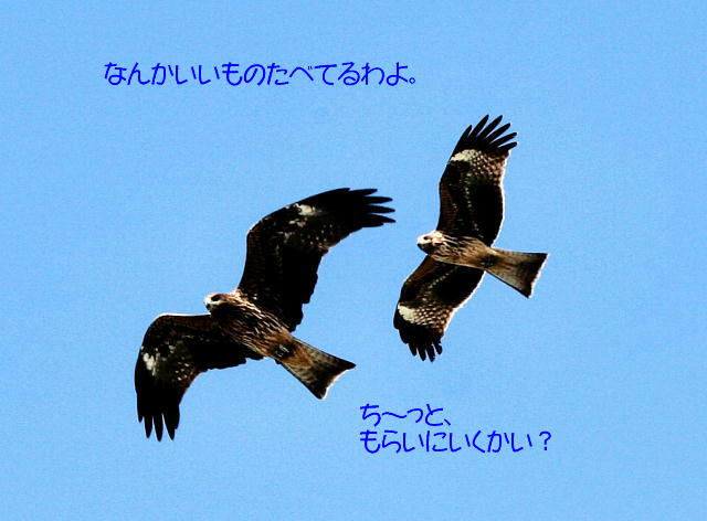 f0066824_1421767.jpg