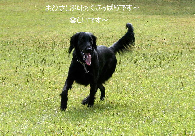 f0066824_147161.jpg