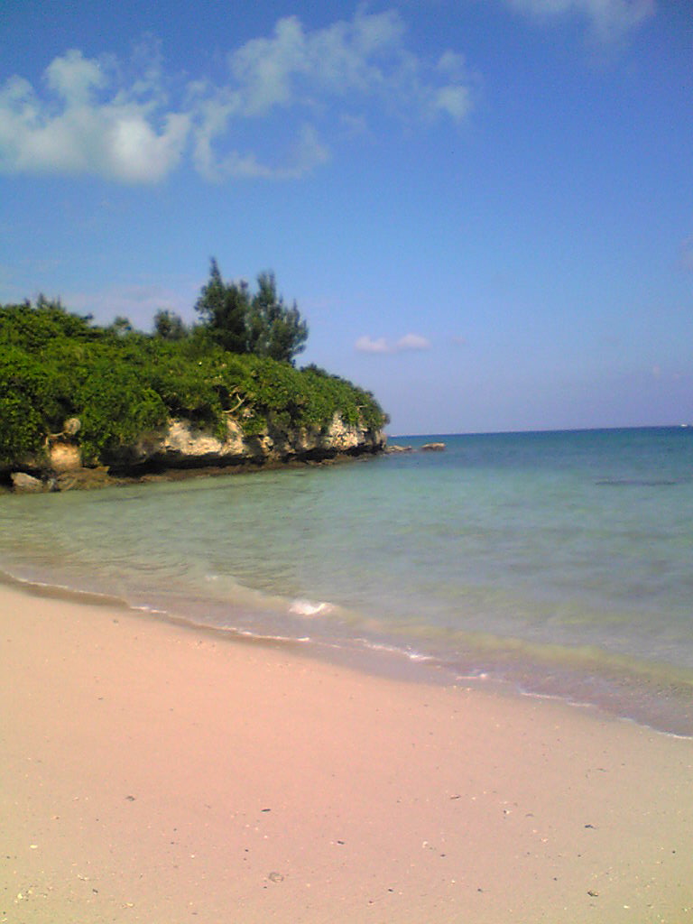 f0107724_15485030.jpg