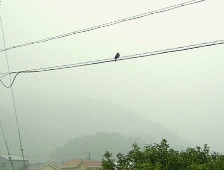 e0042626_9574144.jpg