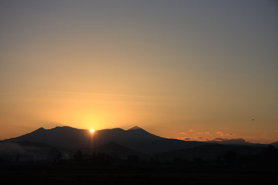 d0069235_22232462.jpg