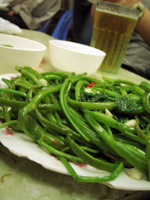 a0023740_8464756.jpg
