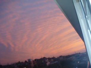 c0119142_0223468.jpg