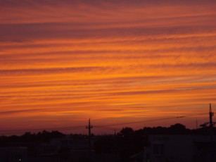 c0119142_023968.jpg