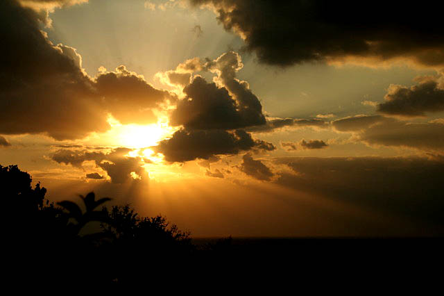 e0039744_22532772.jpg