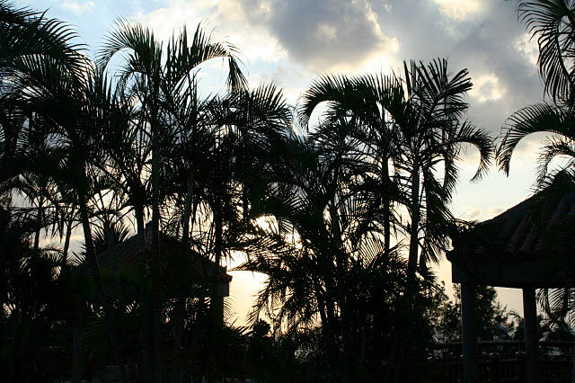 e0039744_2254235.jpg