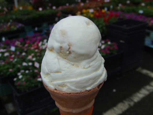c0071545_21333690.jpg