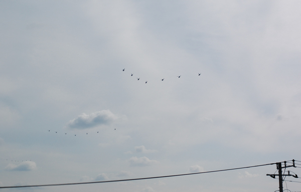a0082146_045191.jpg