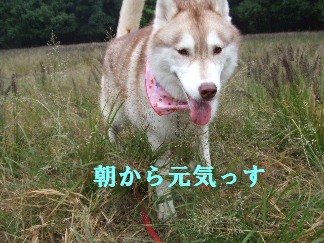 e0121548_21504052.jpg