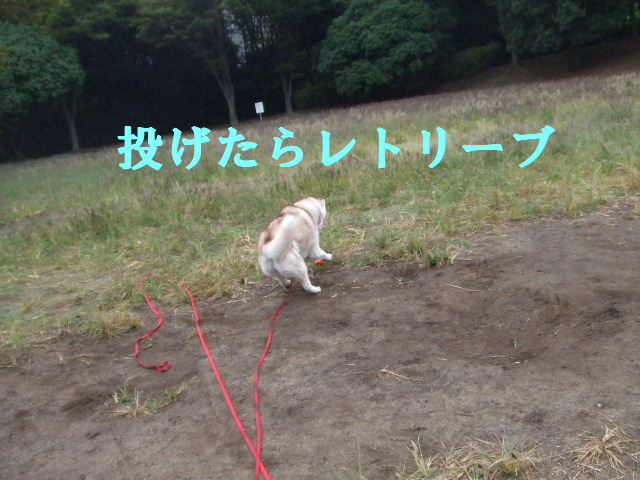 e0121548_21543852.jpg