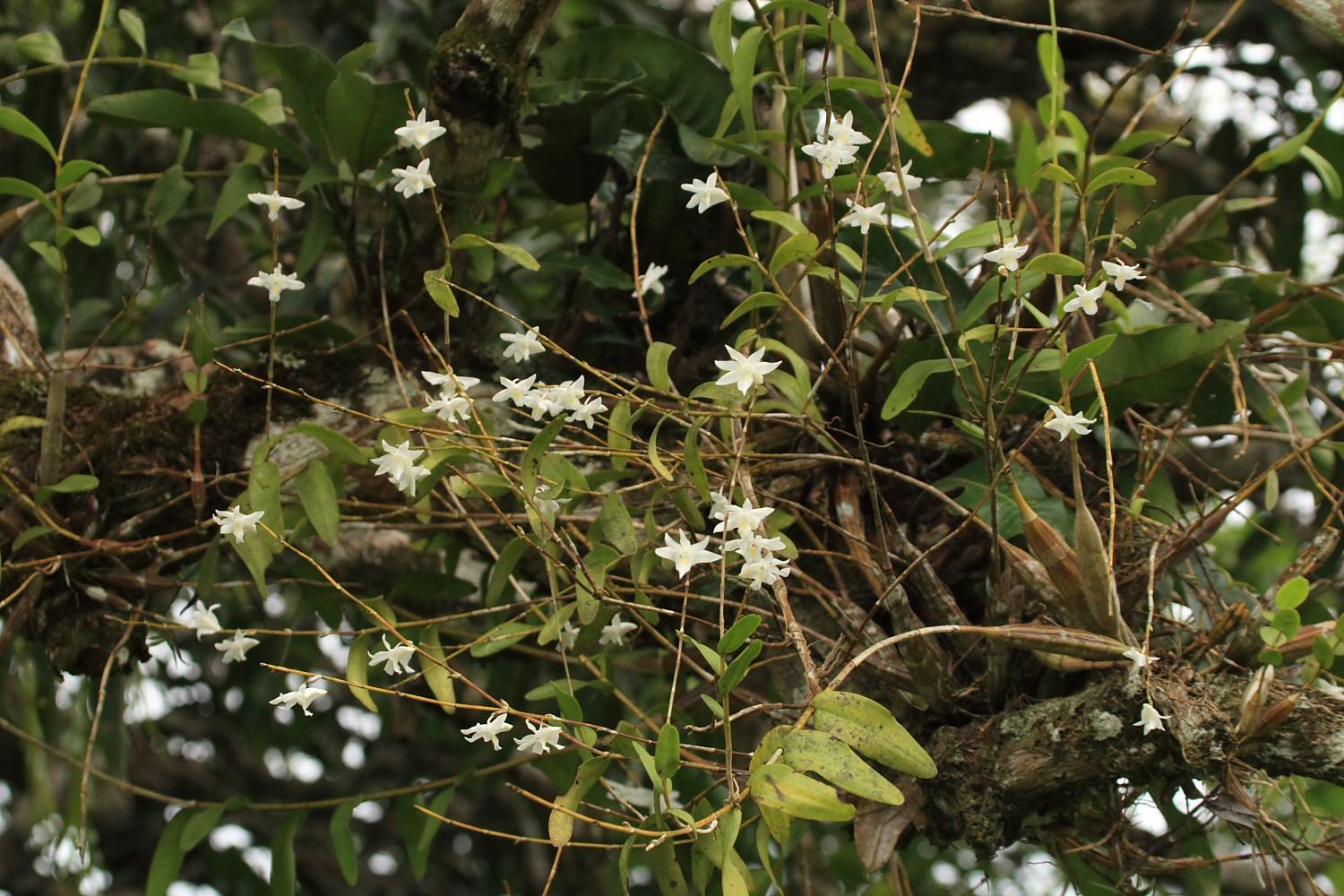 a0094850_20504420.jpg