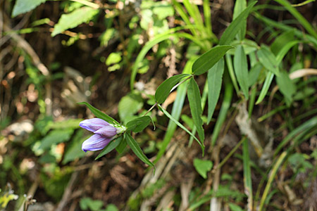 e0113053_23153350.jpg