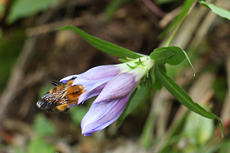 e0113053_23155893.jpg