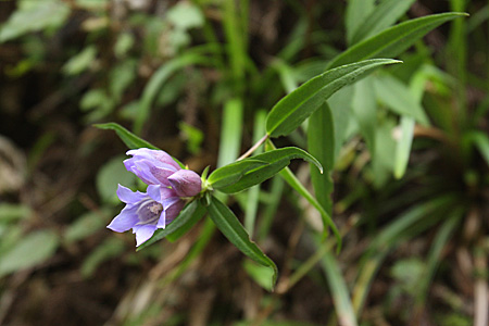 e0113053_23161474.jpg