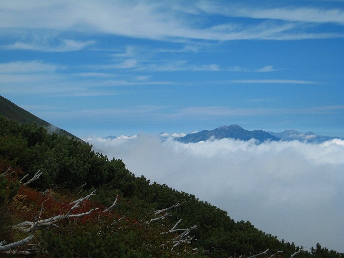 f0156960_2225858.jpg