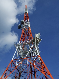 b0095061_825774.jpg