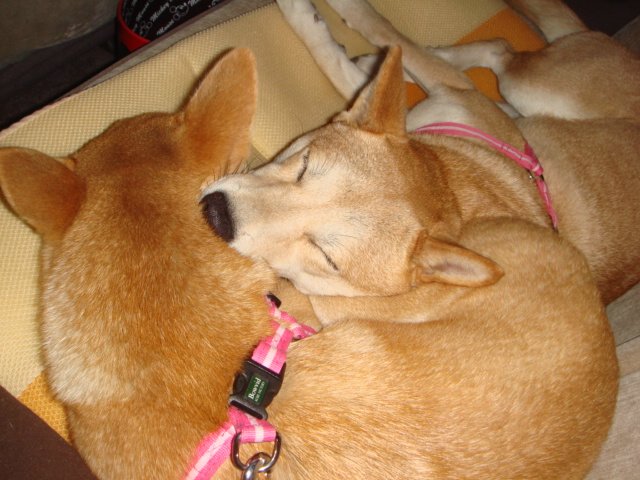 a0089865_2211417.jpg
