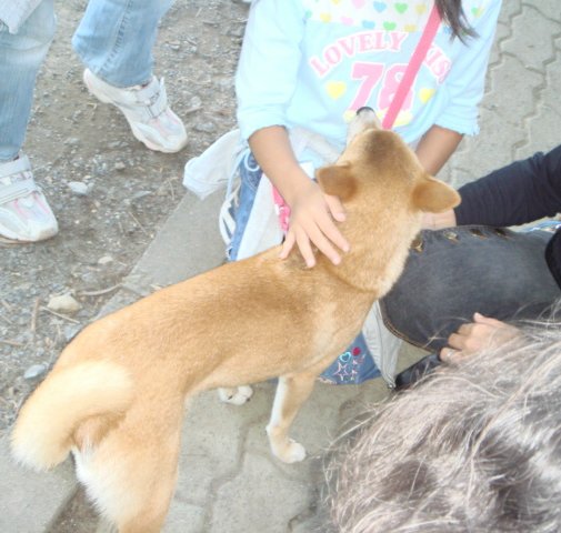 a0089865_223434.jpg