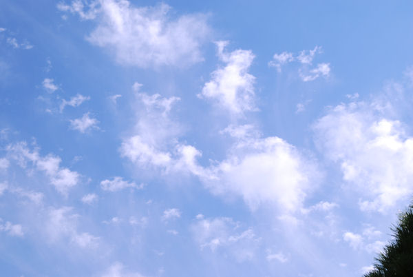 e0020166_84442.jpg