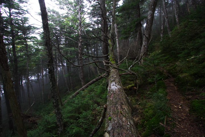 b0027267_23113912.jpg
