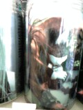 e0011772_16335943.jpg