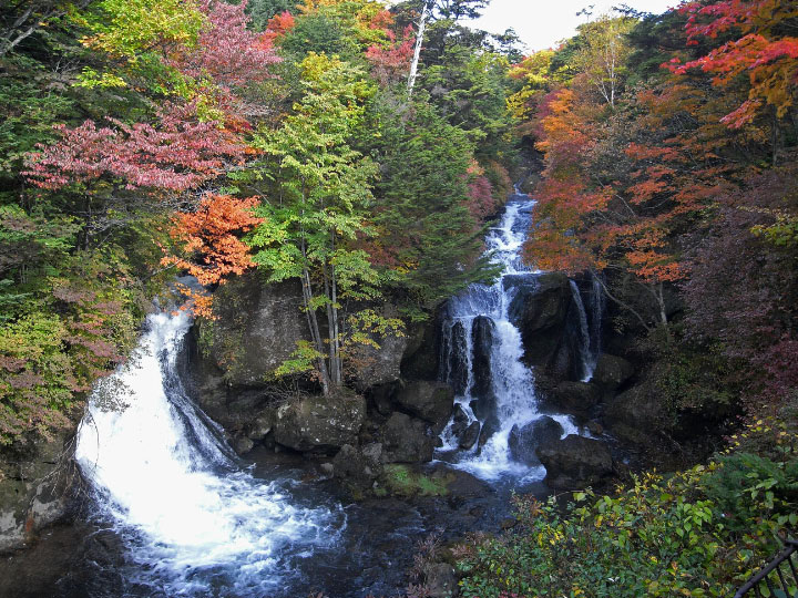 e0100772_21351749.jpg