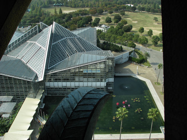 d0079373_22541564.jpg