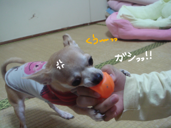 e0126974_01233.jpg