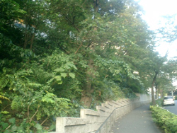 b0013376_207086.jpg